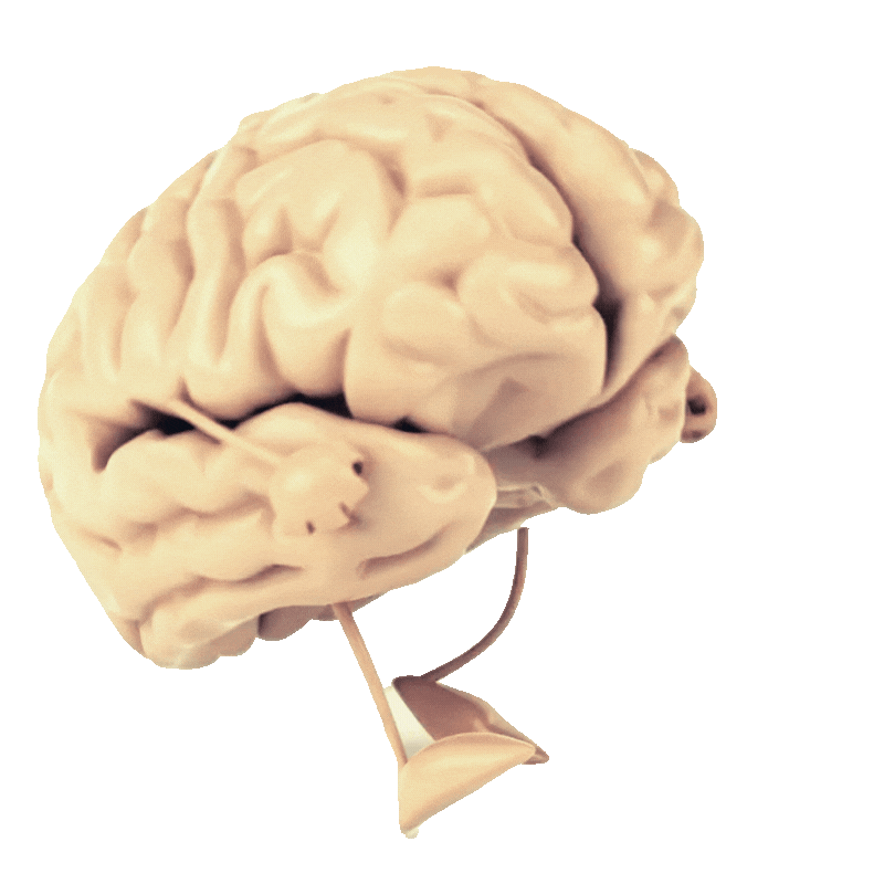 walking brain